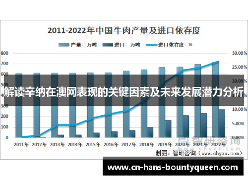解读辛纳在澳网表现的关键因素及未来发展潜力分析
